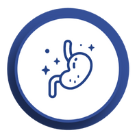stomach