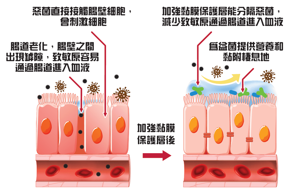 Medical diagram