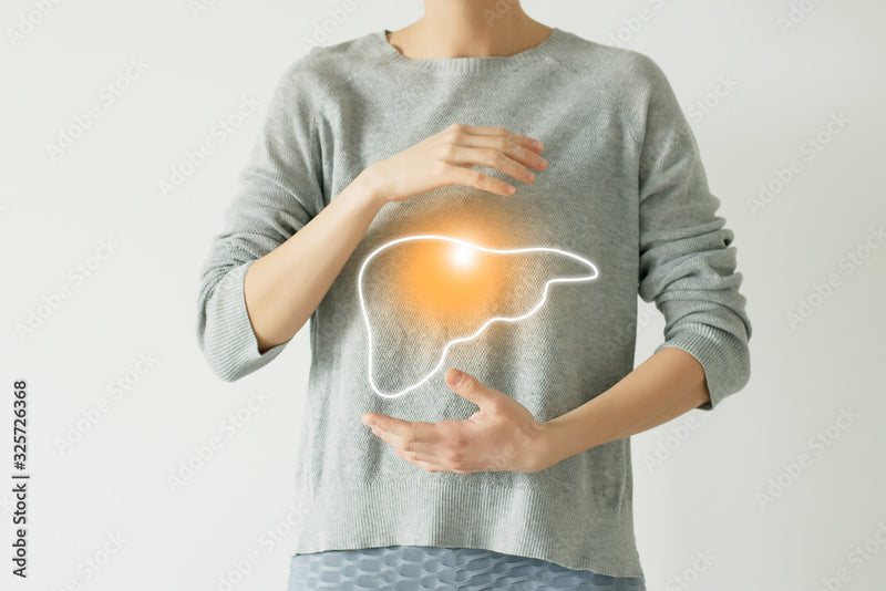 Regulate Liver Metabolism