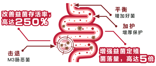 Medical diagram