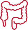 intestine