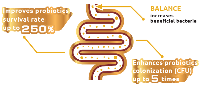 Medical diagram