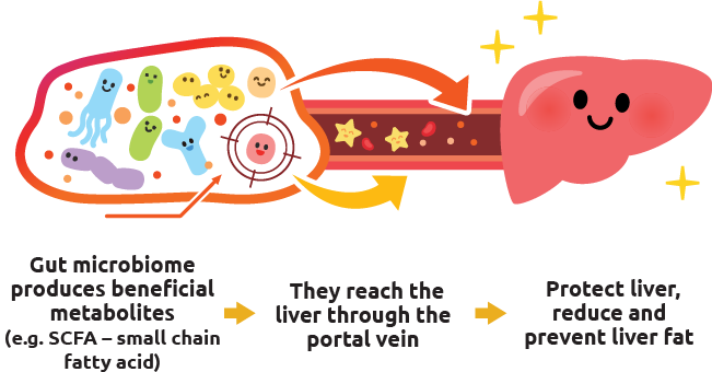 Medical diagram