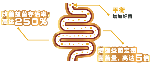 Medical diagram
