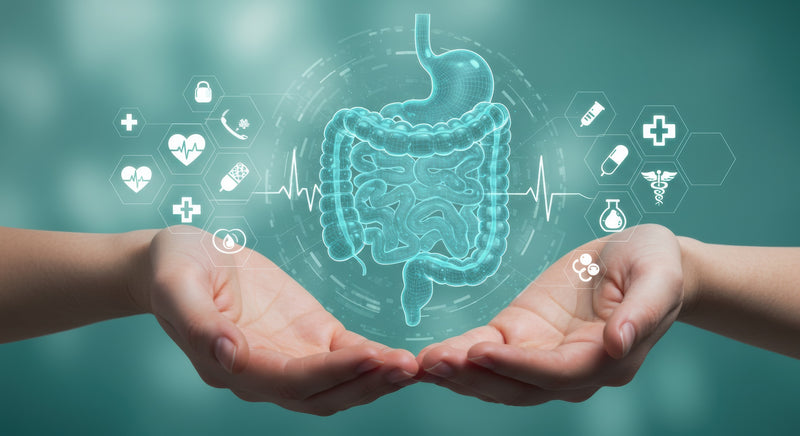 Enhance Gut Protection