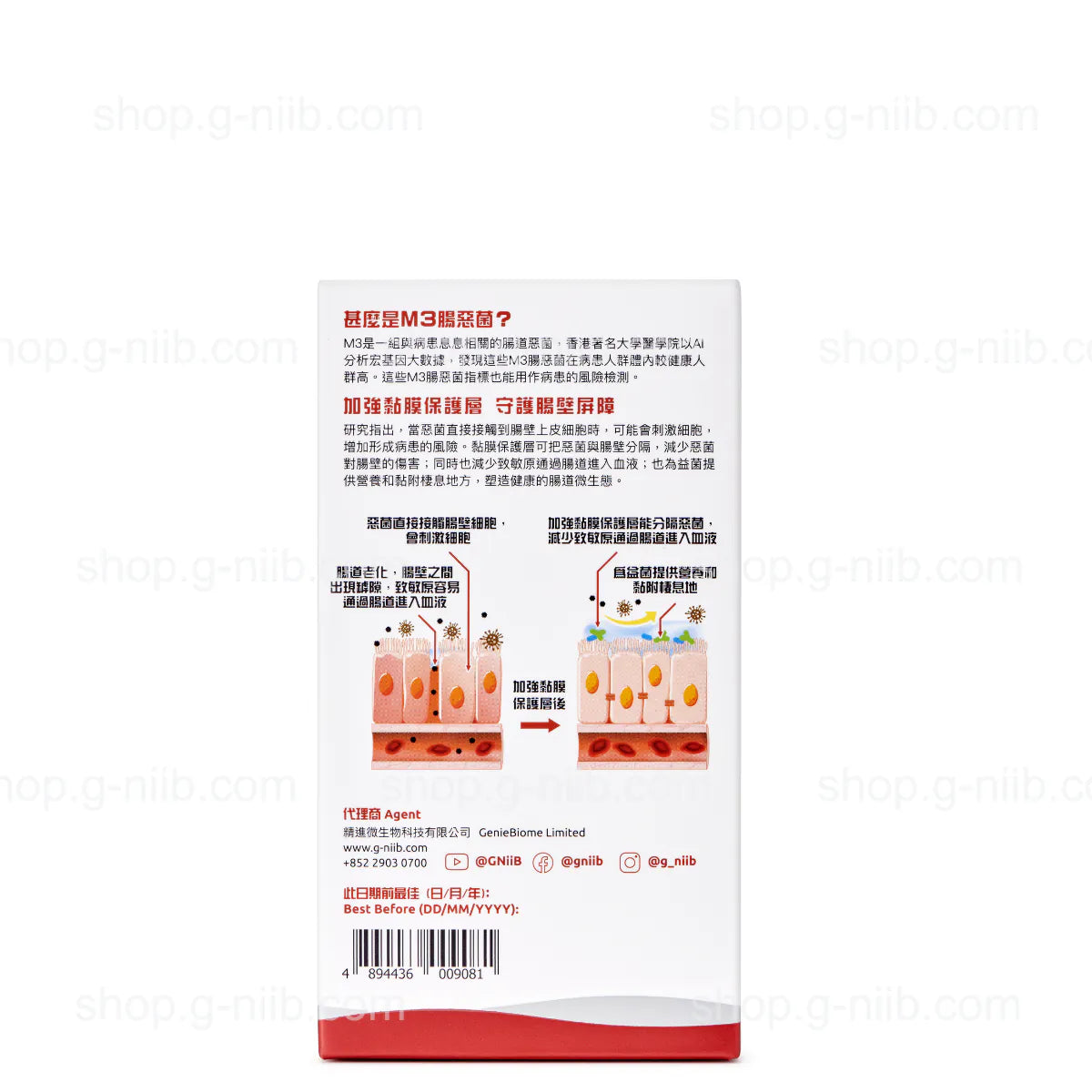 G-NiiB M3 Formula SMT04 (For Hong Kong & Macau Region)