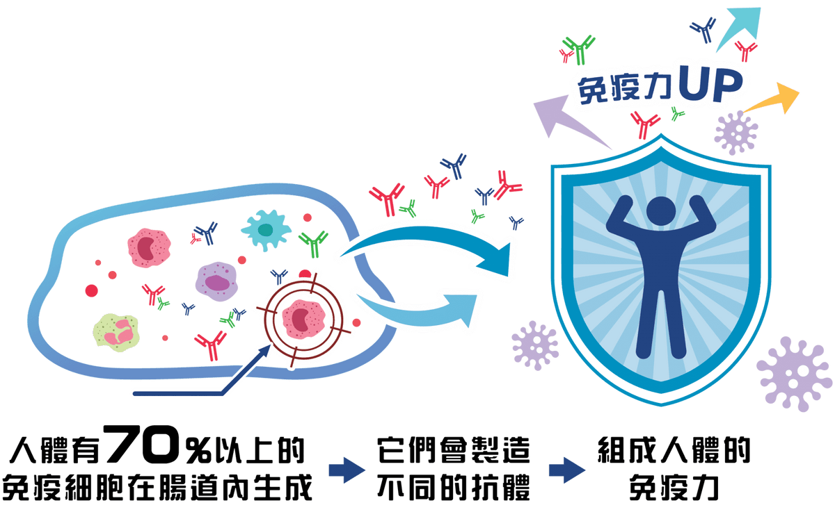 Medical diagram