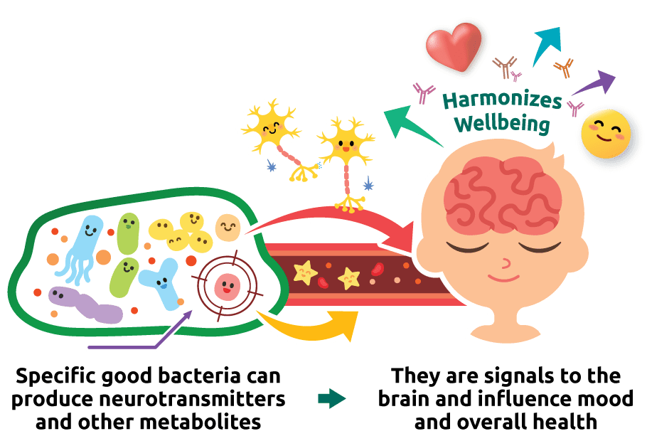 Medical diagram