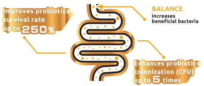 Patented microencapsulation technology from Italy, it improves probiotics survival rate up to 250%. This technology enhances probiotics colonization up to 5 times