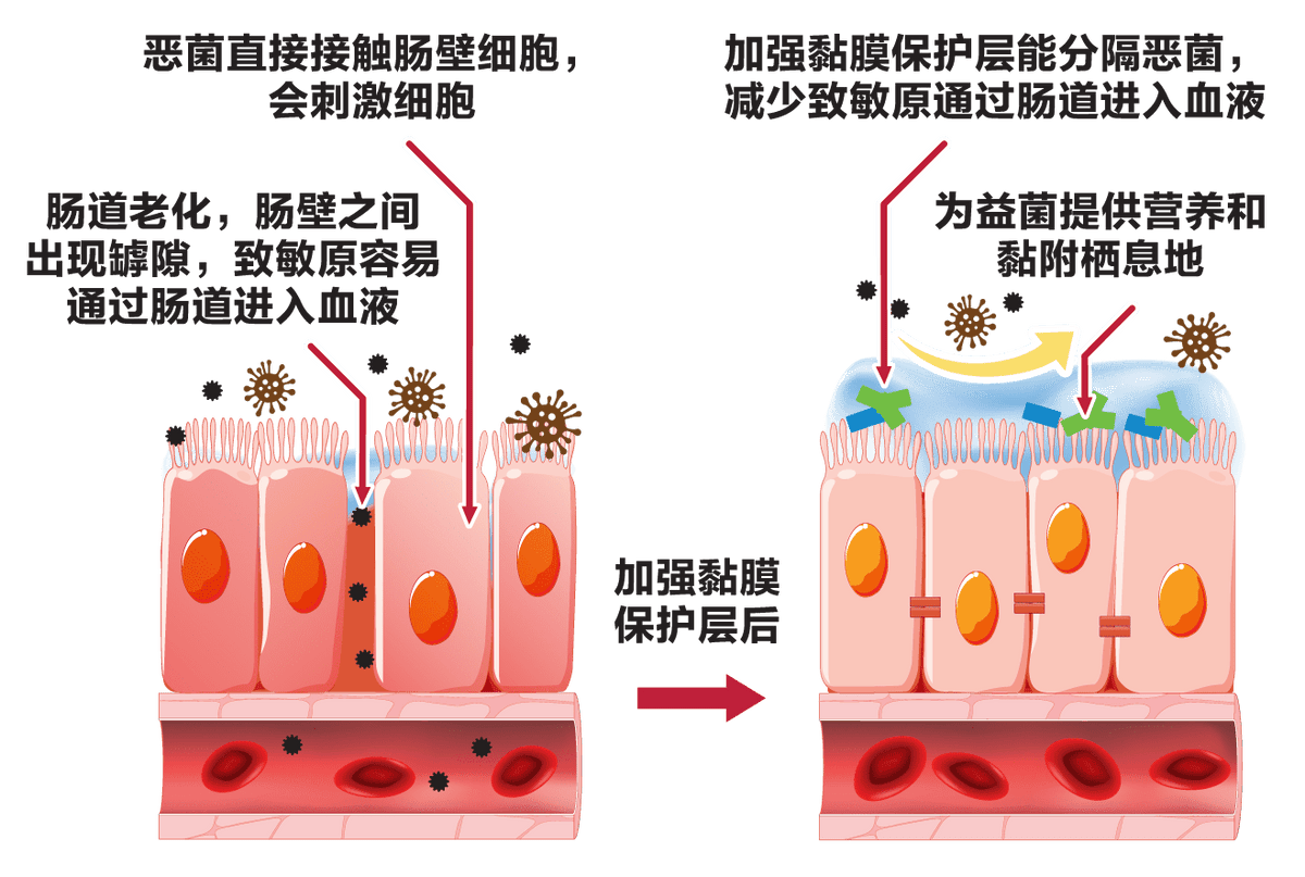Medical diagram