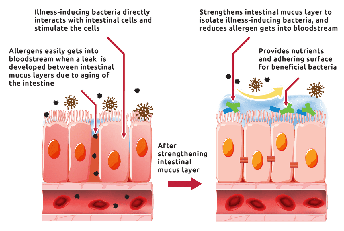 Medical diagram
