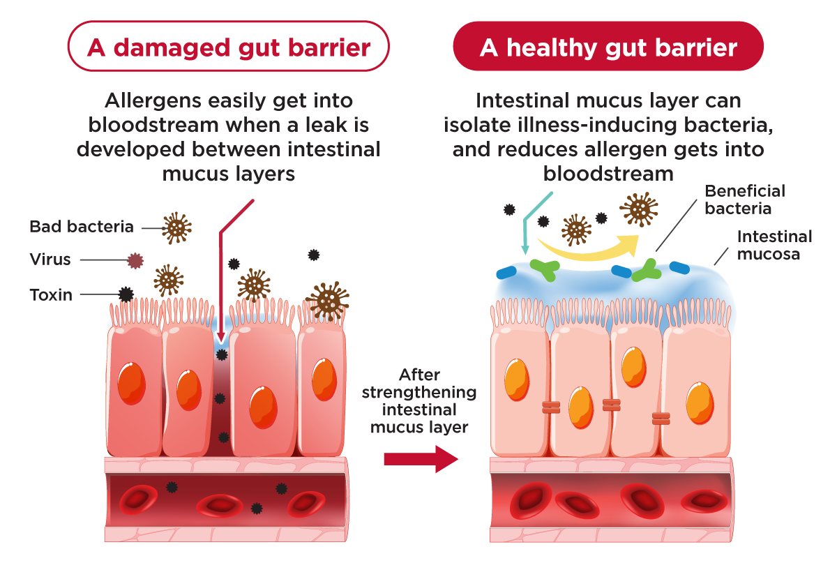 Medical diagram