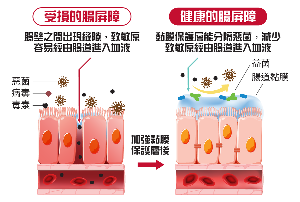 Medical diagram