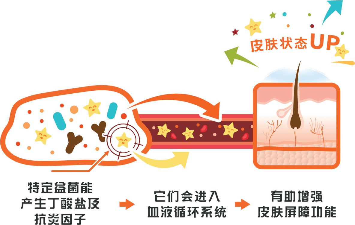 Medical diagram