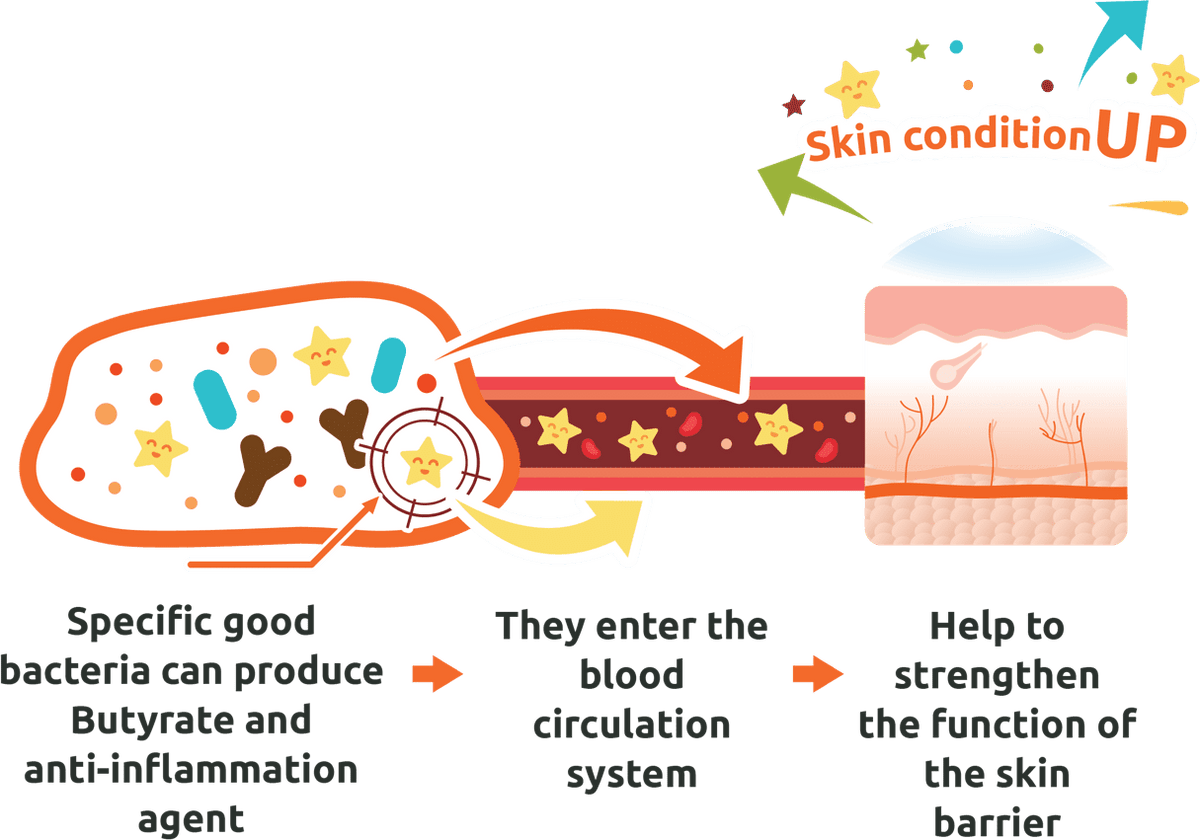 Medical diagram