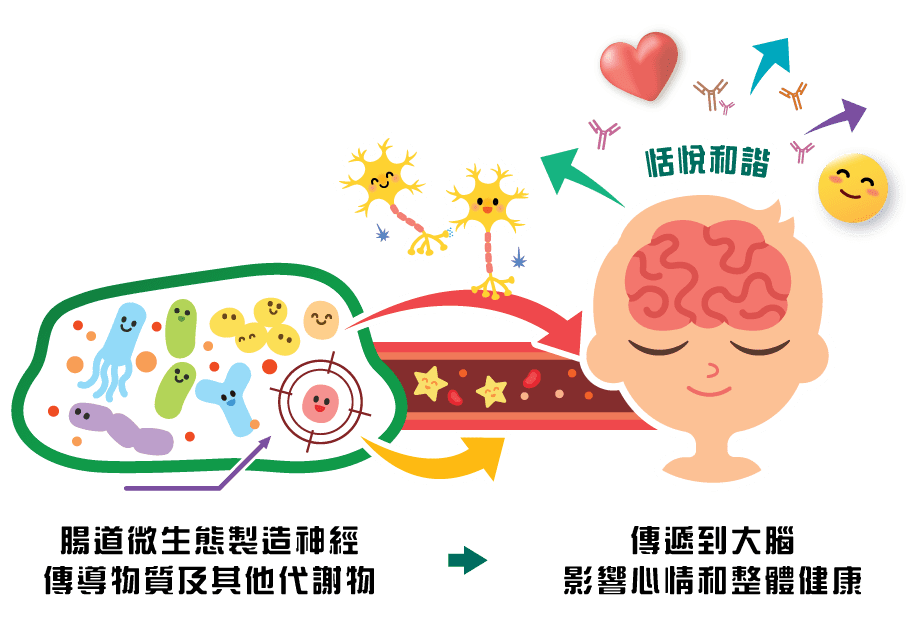 Medical diagram