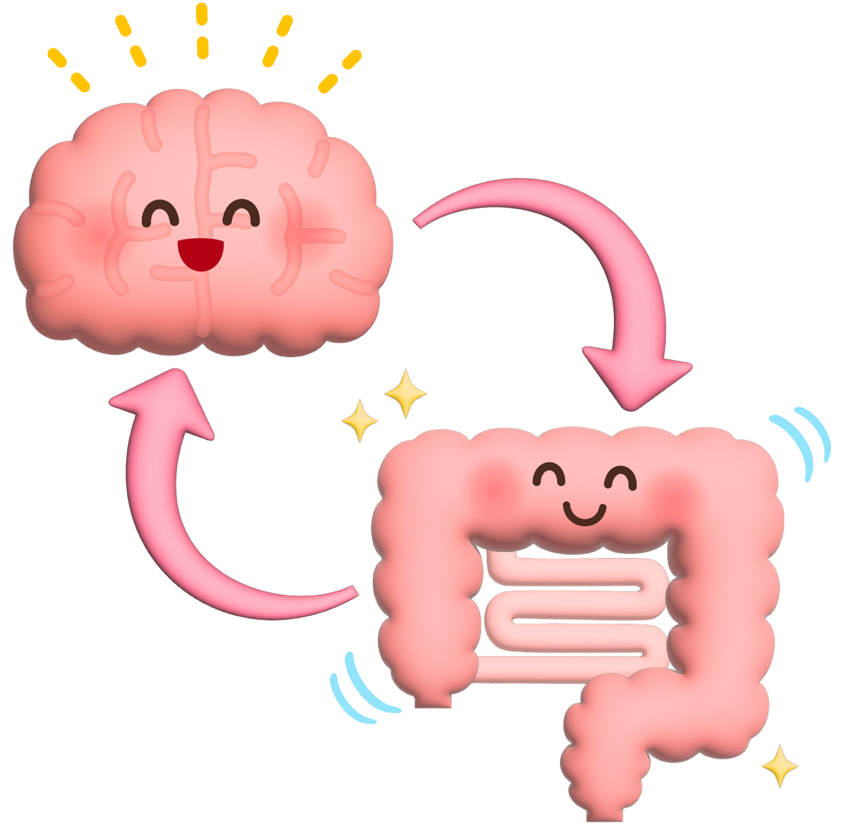 Medical diagram