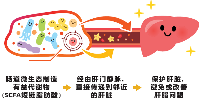 Medical diagram