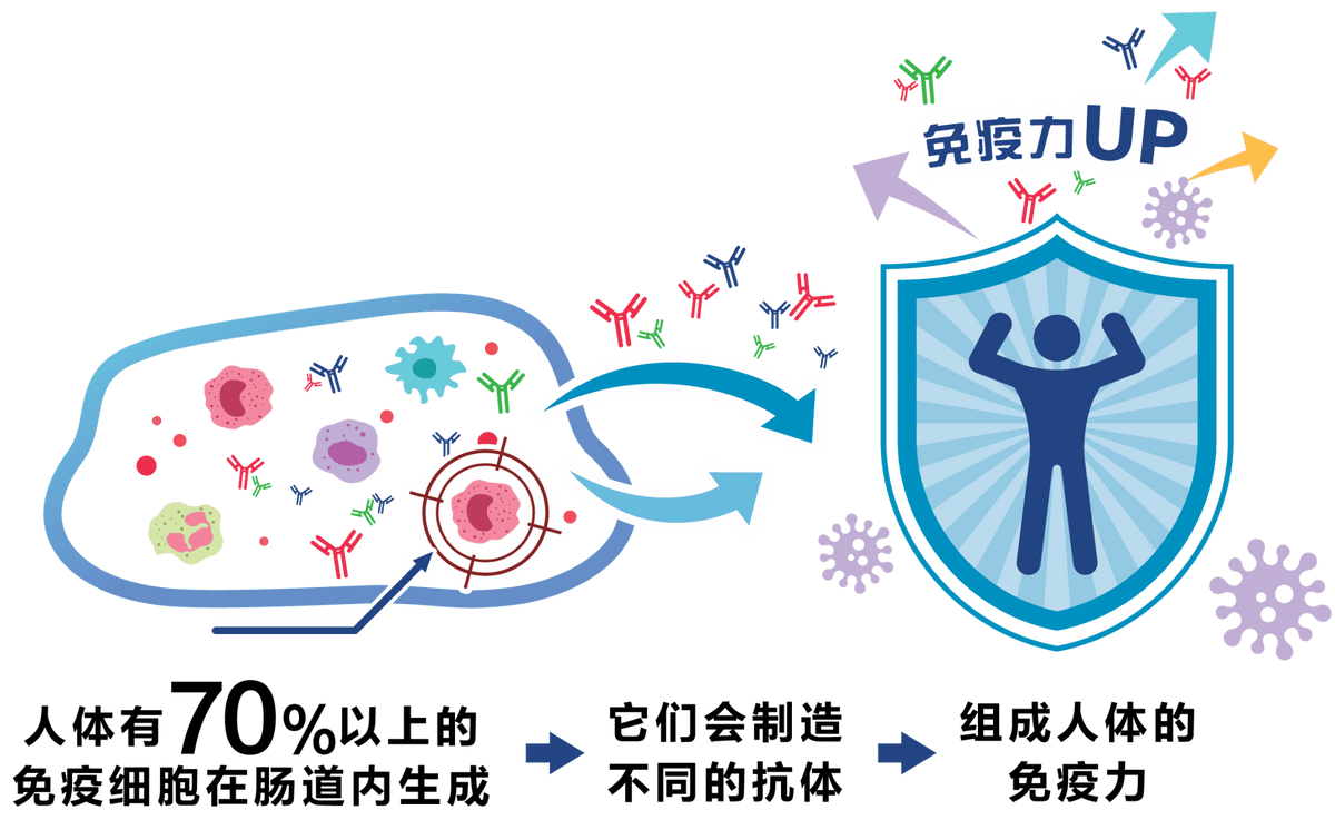 Medical diagram