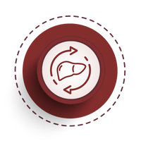 liver detoxification