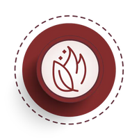 antioxidant protection