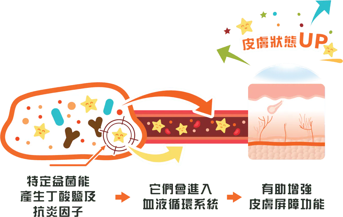 Medical diagram