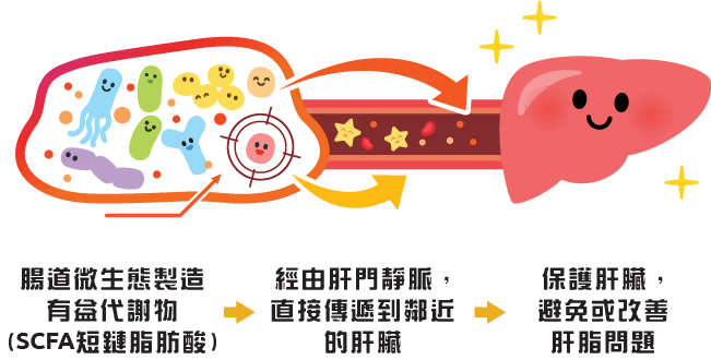 Medical diagram
