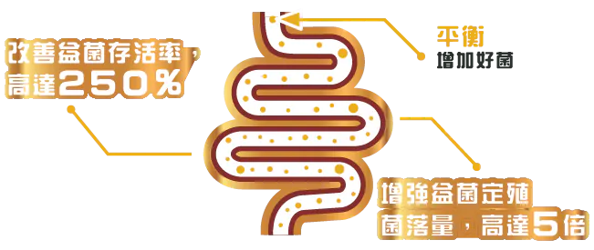 Medical diagram