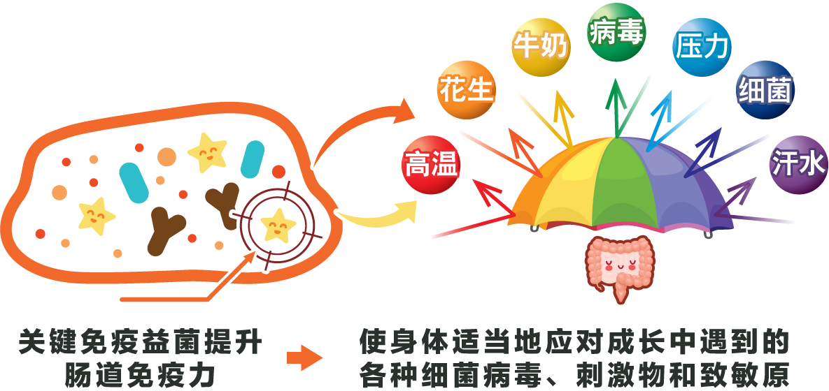 Medical diagram