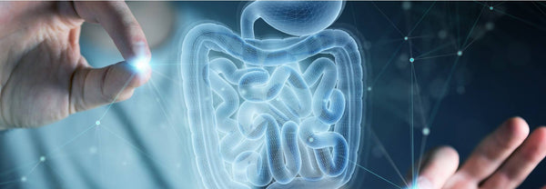 Medical image