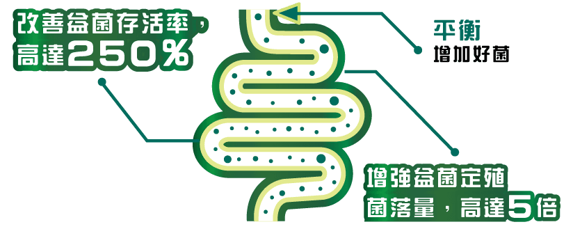 G-NiiB採用了意大利專利鎖菌技術，確保活益菌定殖腸道，免受胃酸侵害，能增強益菌定殖菌落量高達5倍，改善益菌存活率高達250%。